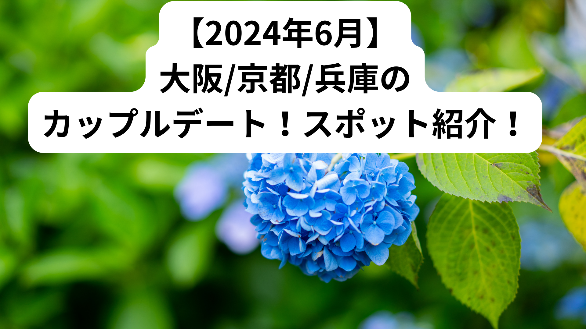 【2024年6月】 大阪京都兵庫の カップルデート！スポット紹介！